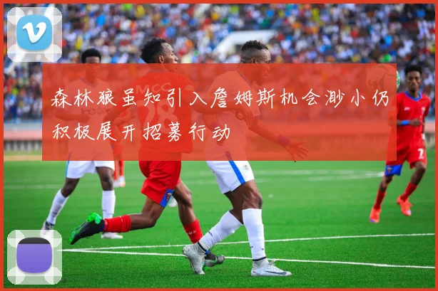 森林狼虽知引入詹姆斯机会渺小仍积极展开招募行动